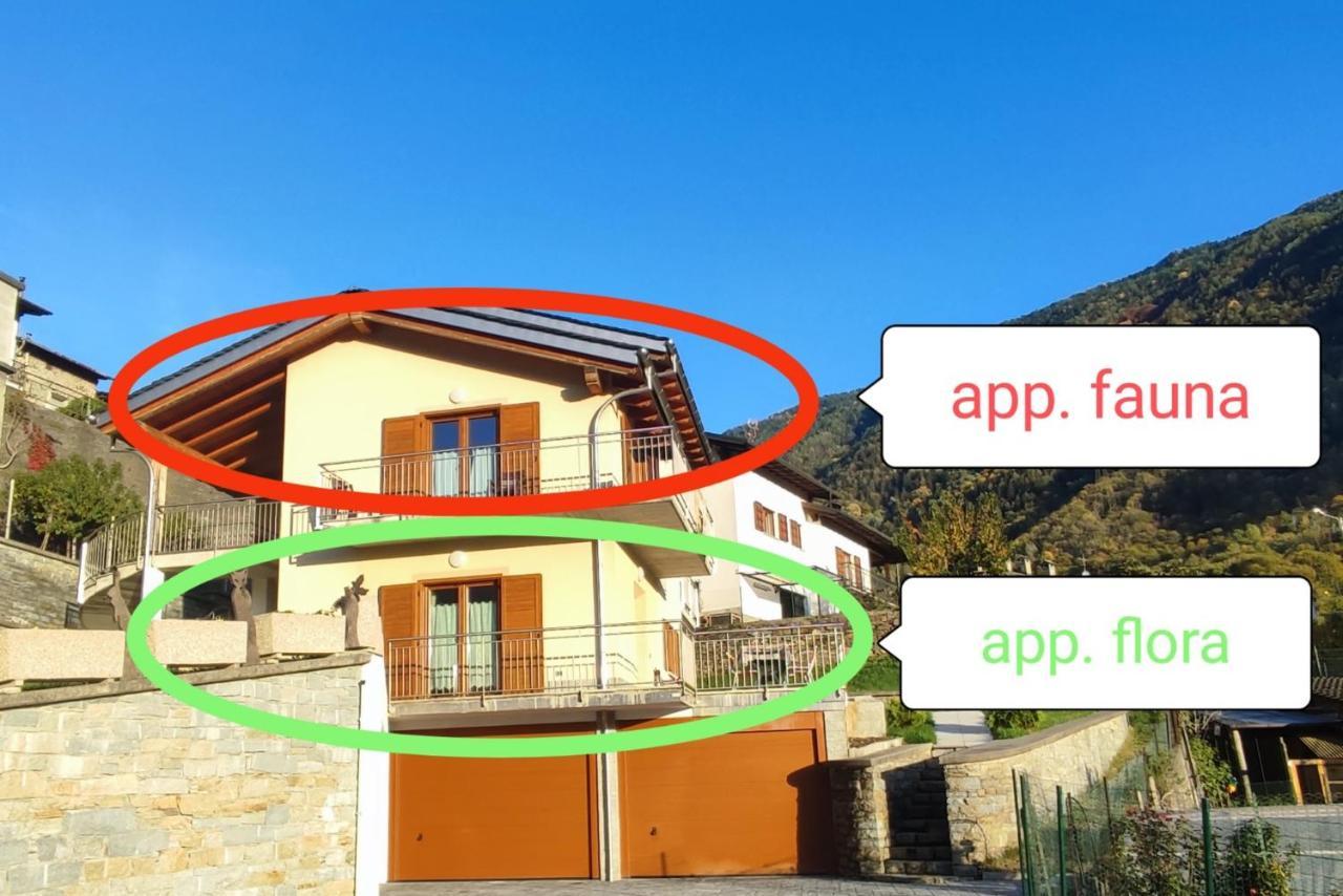 Apartamento Pisolo Selvaggio Tirano Exterior foto